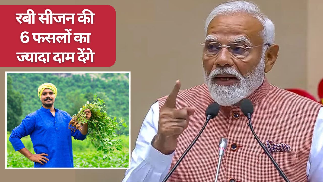 गेहूं-सरसों, चना समेत 6 फसलों का MSP बढ़ाने की घोषणा, 297 लाख मीट्रिक टन उत्पादन का अनुमान