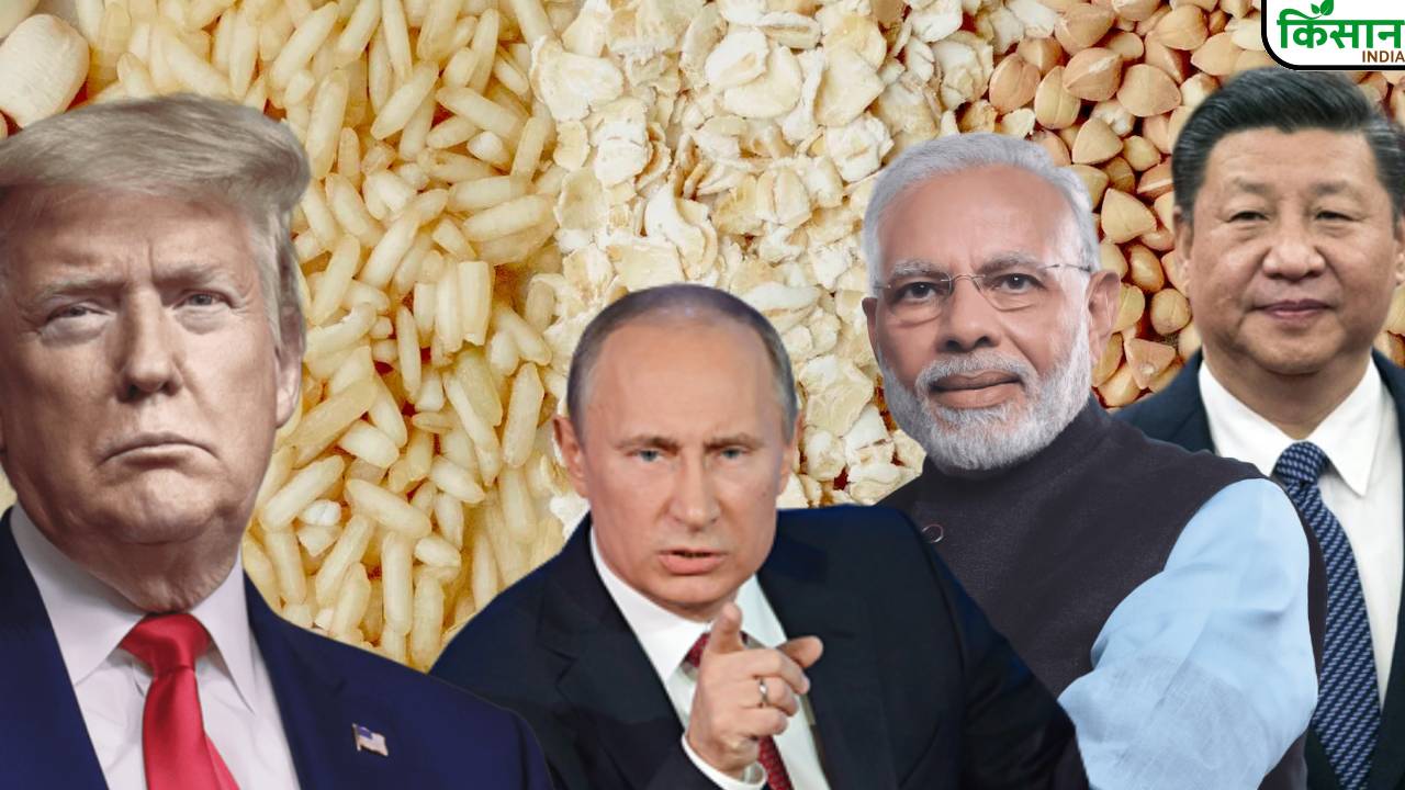 अमेरिका की नीति से नाराज BRICS देश, अब बनाएंगे खुद का ग्रेन एक्सचेंज, भारत को होगा बड़ा फायदा
