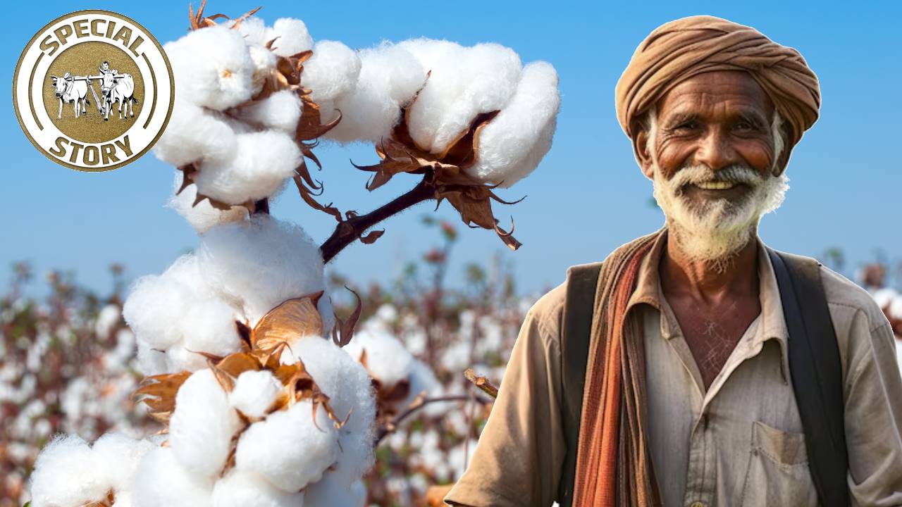 जब भारत ने पूरी दुनिया को पहनाया कपास का कपड़ा, जानिए कौन है इसकी खेती करने वाला पहला किसान?