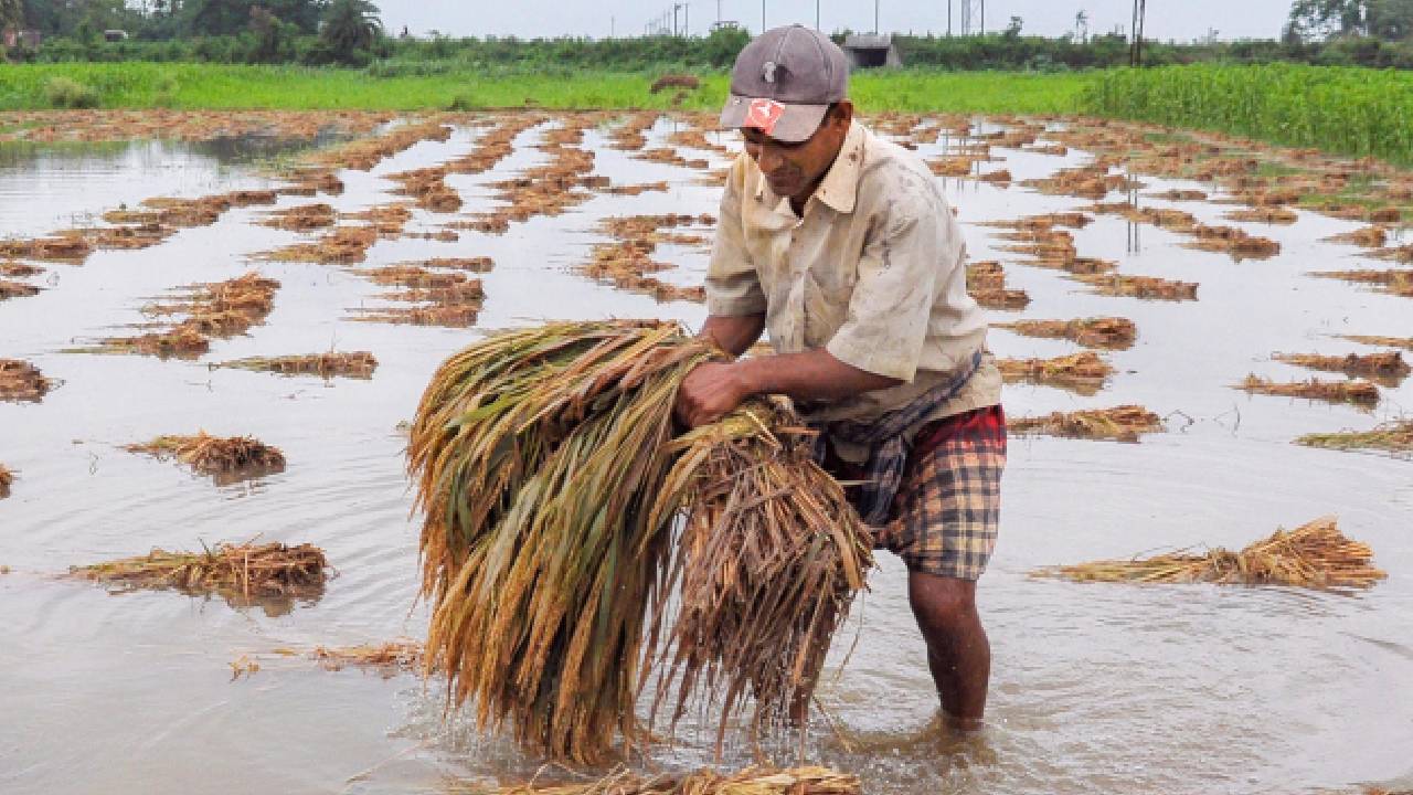 धनतेरस पर बाढ़ प्रभावित किसानों को बड़ी राहत, सरकार ने मंजूर की 3258 करोड़ की फसल मुआवजा राशि