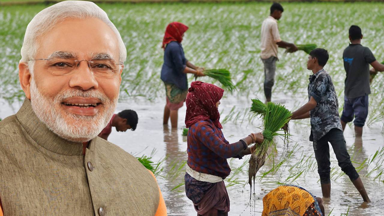प्रधानमंत्री धन धान्य योजना से किसानों की आय होगी दोगुनी, 100 IAS अधिकारियों को मिली बड़ी जिम्मेदारी