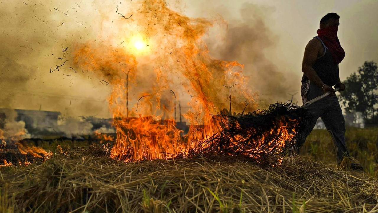 दिवाली की आड़ में खूब जली पराली, पंजाब ने तोड़े सारे रिकॉर्ड