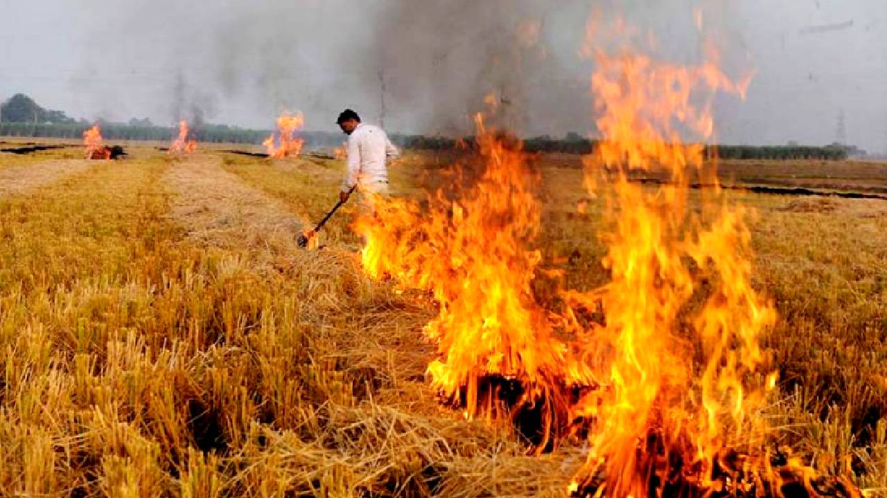 पराली जलाने पर सख्ती: 65 अफसरों पर कार्रवाई, सूचना मिलने के बाद भी नहीं की कार्रवाई