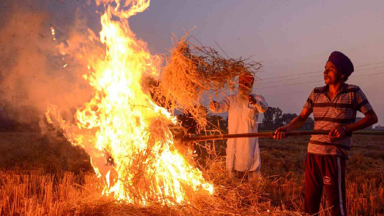 पंजाब में पराली जलाने के मामलों में बड़ा उछाल, एक दिन में 644 घटनाएं दर्ज… बढ़ी प्रशासन की चिंता