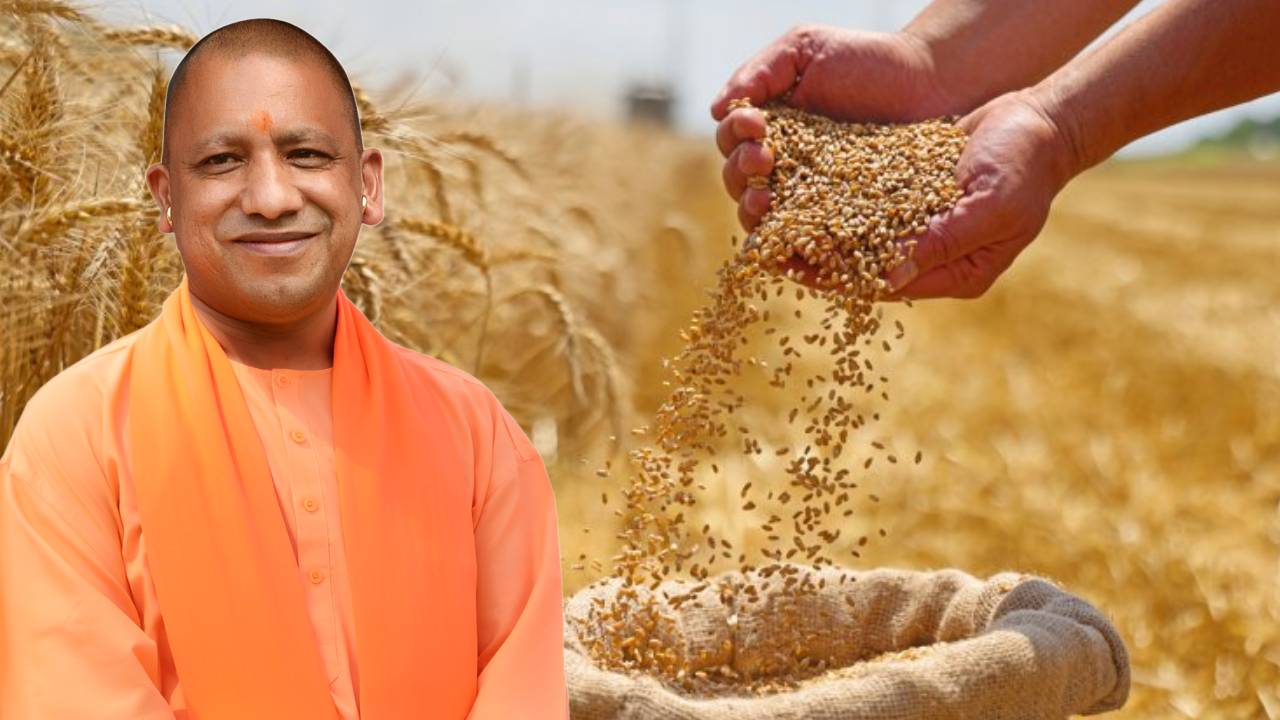 बारिश से गेहूं की 20 फीसदी फसल चौपट, मुआवजे पर सीएम योगी के फैसले से 2 करोड़ किसानों की टेंशन दूर