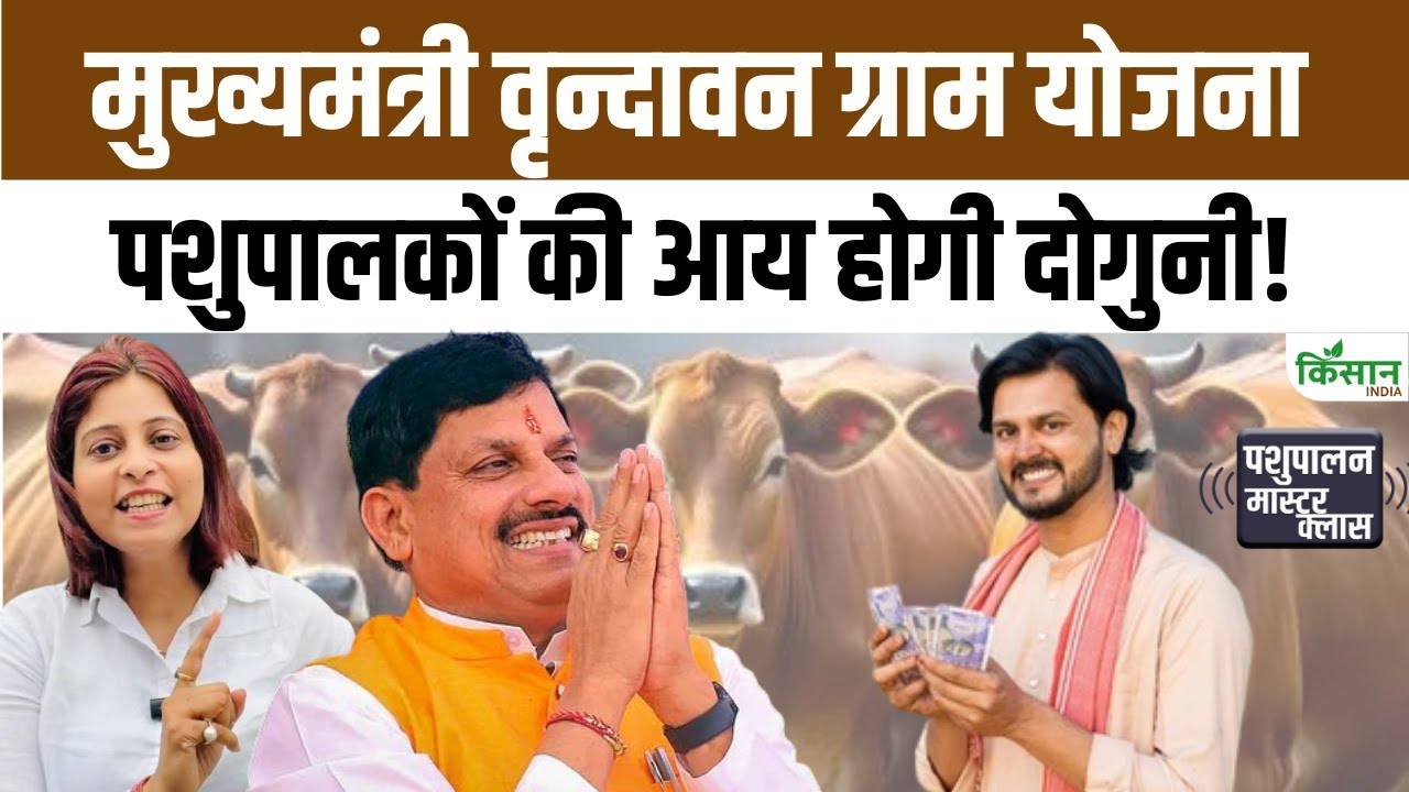 मुख्यमंत्री वृंदावन ग्राम योजना से मोटा पैसा पाएंगे पशुपालक, दूध बढ़ेगा और पशुओं की संख्या भी