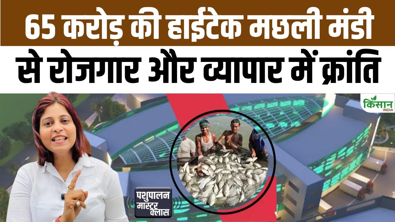 अब मछली खरीदना होगा सुपरमार्केट जैसा अनुभव, 65 करोड़ का हाईटेक बाजार तैयार