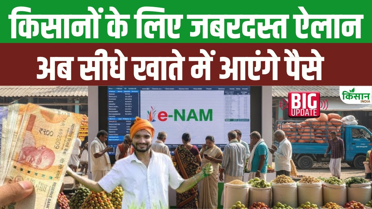 किसानों के लिए बड़ी राहत, e-NAM प्लेटफॉर्म पर अब 247 फसलों की ट्रेडिंग शुरू, जानें नई फसलें कौन-कौन सी