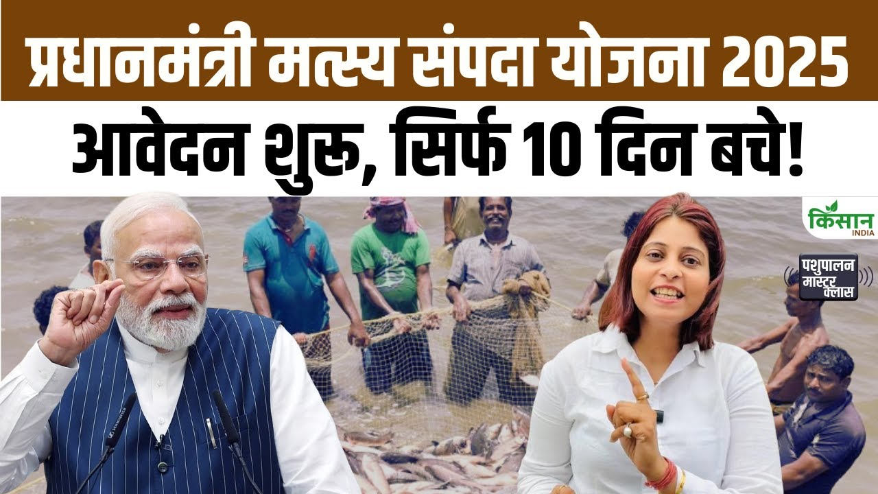पीएम मत्स्य संपदा योजना 2025 के आवेदन शुरू, मछली पालन पर सब्सिडी पाने के लिए 10 दिन शेष