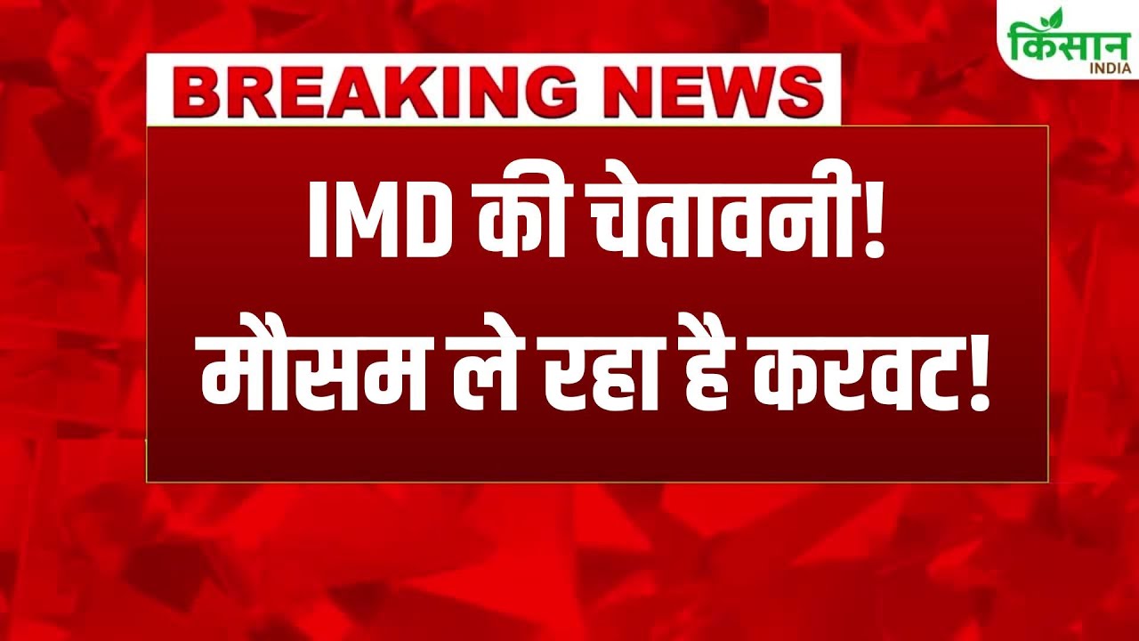 उत्तर भारत में अचानक मौसम बदला, ठंडी हवाओं संग हल्की बारिश के आसार
