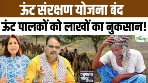 लगातार घट रही ऊंटों की संख्या, फिर भी दो साल से जारी नहीं हुई राशि लगातार घट रही ऊंटों की संख्या, फिर भी दो साल से जारी नहीं हुई राशि