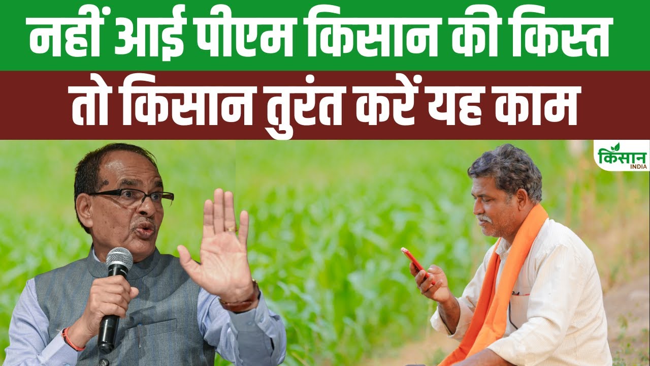 PM किसान की किस्त नहीं आई? जानिए तुरंत क्या करें और कैसे पाएं पूरा पैसा बिना देरी