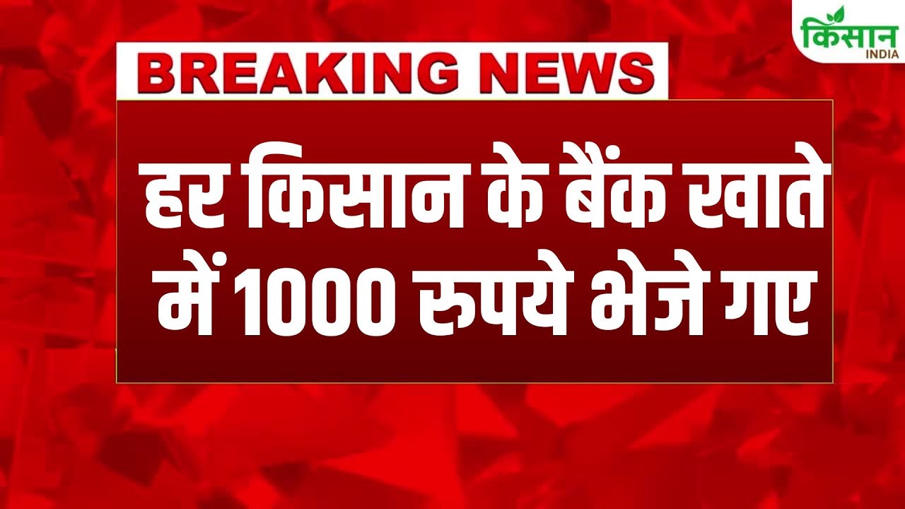 धनतेरस पर राजस्थान सरकार ने 71 लाख किसानों को दिया दिवाली गिफ्ट, खातों में पहुंचे करोड़ों रुपये