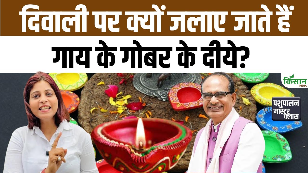 दिवाली पर गाय के गोबर से बने दीपक, महिलाओं ने शिवराज सिंह को सिखाई कला