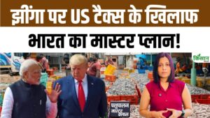 अमेरिका ने समुद्री उत्पादों पर बढ़ाया टैरिफ, भारत के झींगा निर्यातक अब बढ़ते टैक्स से कैसे निपटेंगे अमेरिका ने समुद्री उत्पादों पर बढ़ाया टैरिफ, भारत के झींगा निर्यातक अब बढ़ते टैक्स से कैसे निपटेंगे