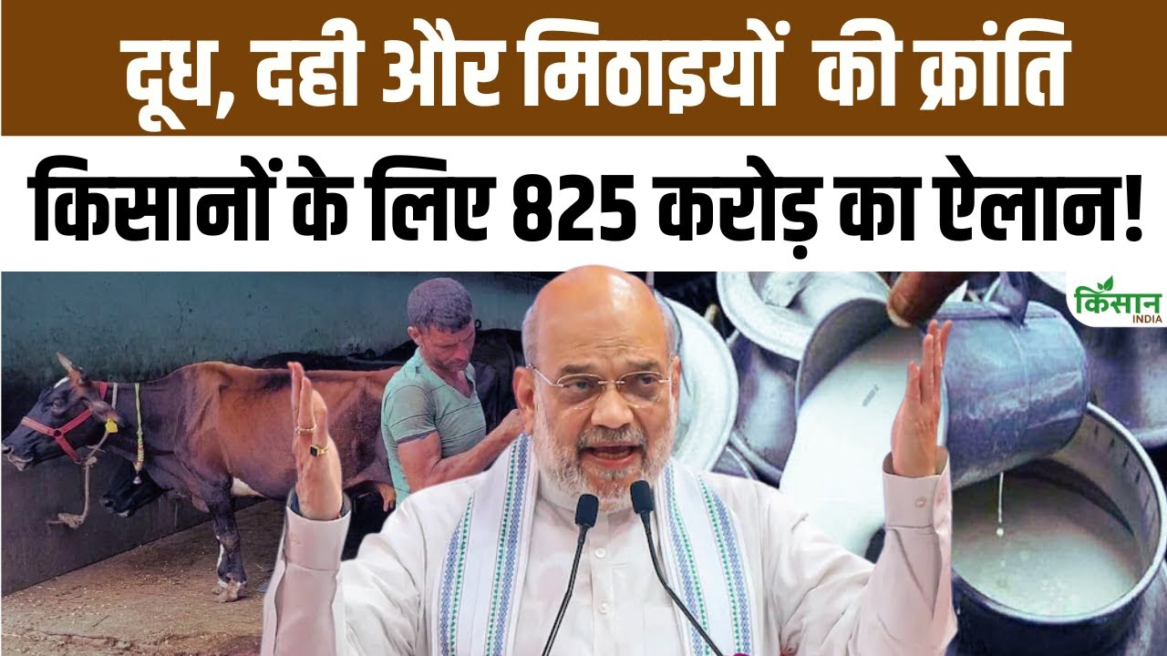 अमित शाह ने रोहतक में साबर डेयरी प्लांट का उद्घाटन किया, हरियाणा के डेयरी उद्योग को बढ़ावा