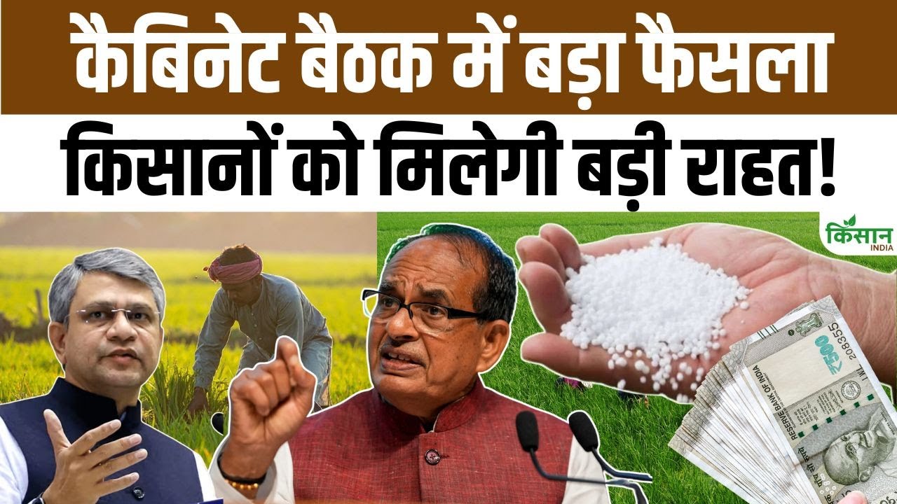 कैबिनेट मीटिंग में किसानों को बड़ी राहत, रबी सीजन के लिए खाद सब्सिडी बढ़ाने का फैसला