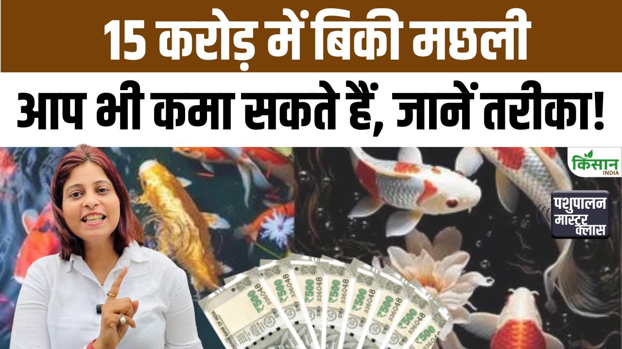 PMMSY योजना 2025 से मछली पालन किसानों को मिल रहा जबरदस्त मुनाफा