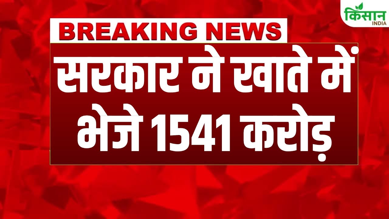 लड़ली बहना योजना की 29वीं किस्त जारी, 1541 करोड़ रुपये सीधे महिलाओं के खातों में भेजे गए