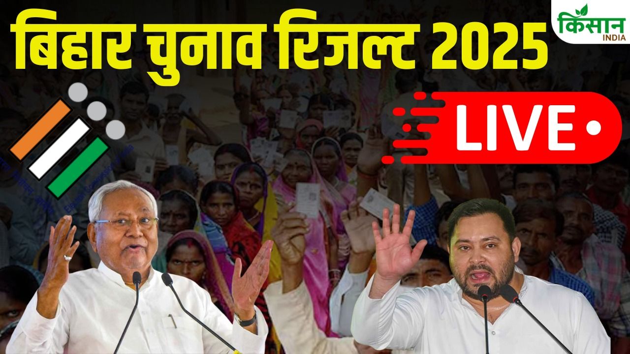 Bihar Election Result: बिहार चुनाव में एनडीए का दोहरा शतक, तेजस्वी जीते, तेज प्रताप हारे, बड़ी सीटों के नतीजे देखिए