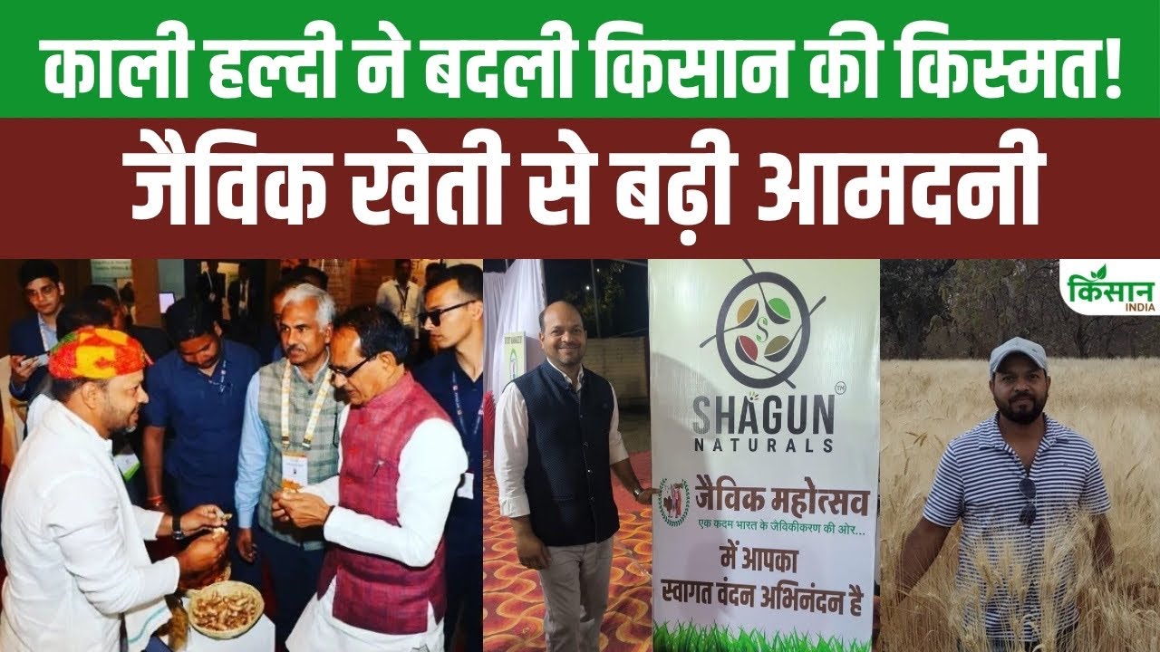 Black Turmeric: काली हल्दी की खेती से किसान ने बनाया अनोखा बिजनेस मॉडल, खूब हो रही कमाई