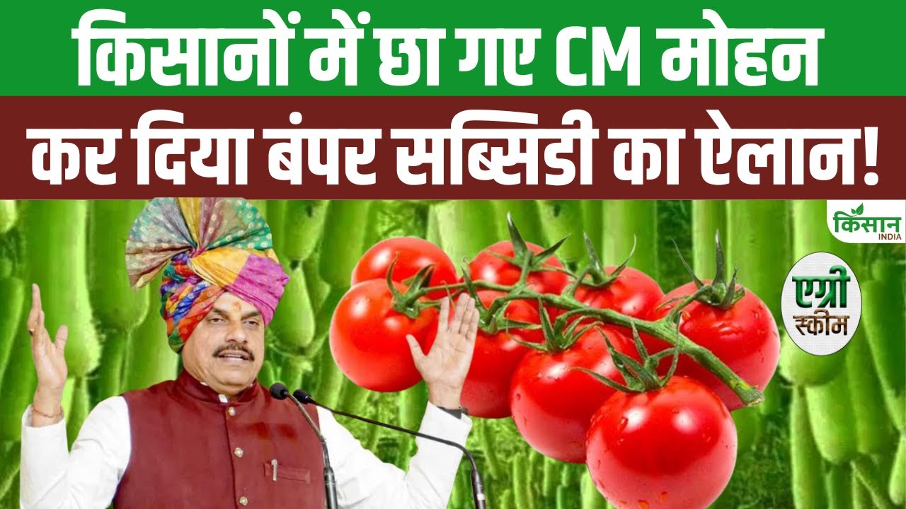 Rashtriya Krishi Vikas Yojana: किसानों को इन सब्जियों पर मिलेगी भारी सब्सिडी, सीएम का बड़ा ऐलान