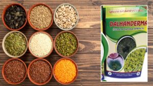 चना किसानों की मुसीबतें छूमंतर कर देगा दलहनडर्मा, IIPR ने किया विकसित.. खूब हो रहा इस्तेमाल चना किसानों की मुसीबतें छूमंतर कर देगा दलहनडर्मा, IIPR ने किया विकसित.. खूब हो रहा इस्तेमाल