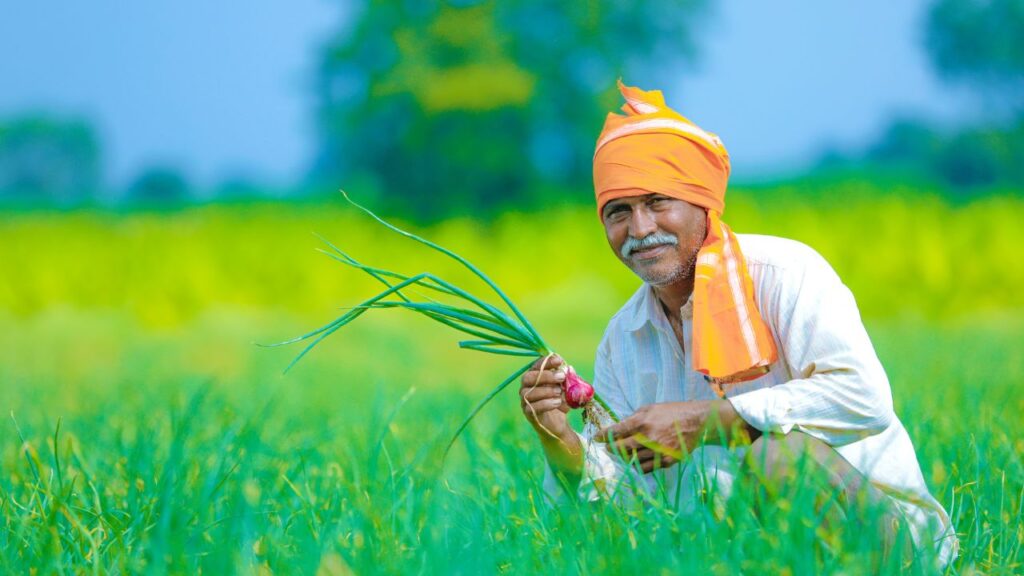 PM Kisan (प्रधानमंत्री किसान सम्मान निधि): इस योजना के तहत पात्र किसानों को हर साल ₹6,000 की आर्थिक सहायता दी जाती है, जो तीन किश्तों में सीधे बैंक खाते में भेजी जाती है, ताकि पारदर्शिता बनी रहे और देरी न हो. PM Kisan (प्रधानमंत्री किसान सम्मान निधि): इस योजना के तहत पात्र किसानों को हर साल ₹6,000 की आर्थिक सहायता दी जाती है, जो तीन किश्तों में सीधे बैंक खाते में भेजी जाती है, ताकि पारदर्शिता बनी रहे और देरी न हो.