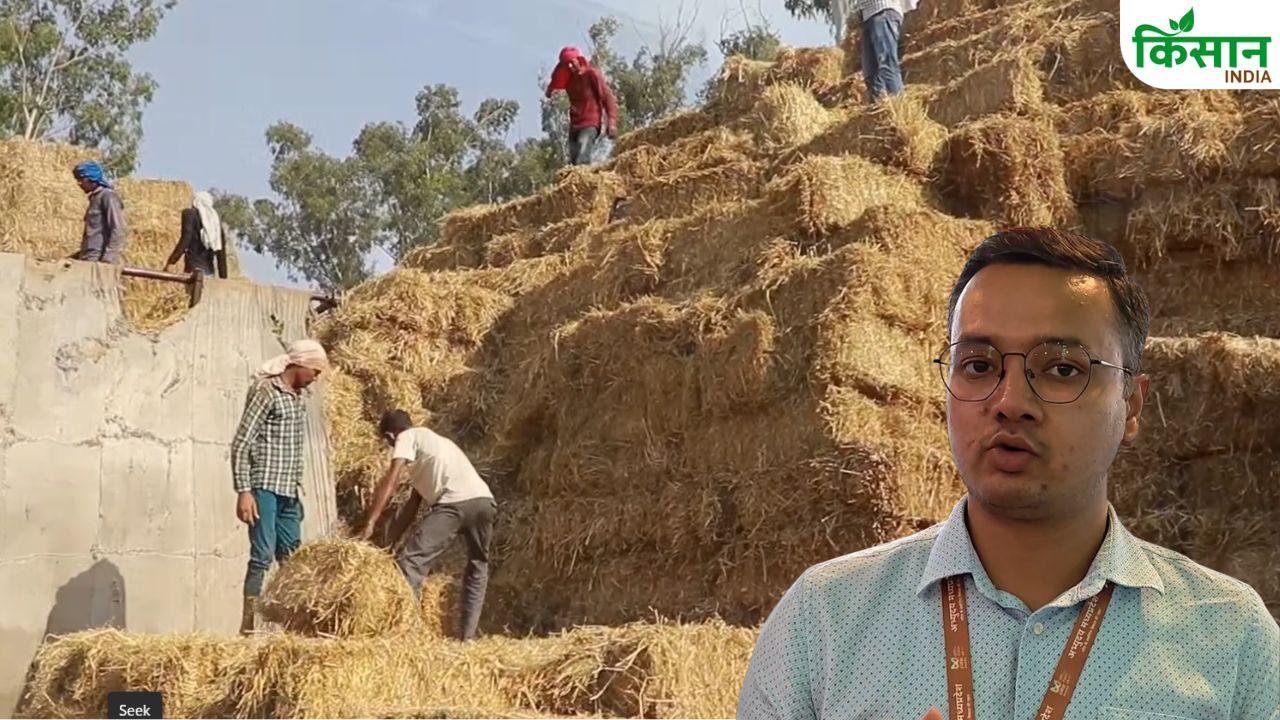Success Story: कचरे में छिपा सोना! लंदन की नौकरी छोड़ शुभम ने पराली से बनाया करोड़ों का बिजनेस