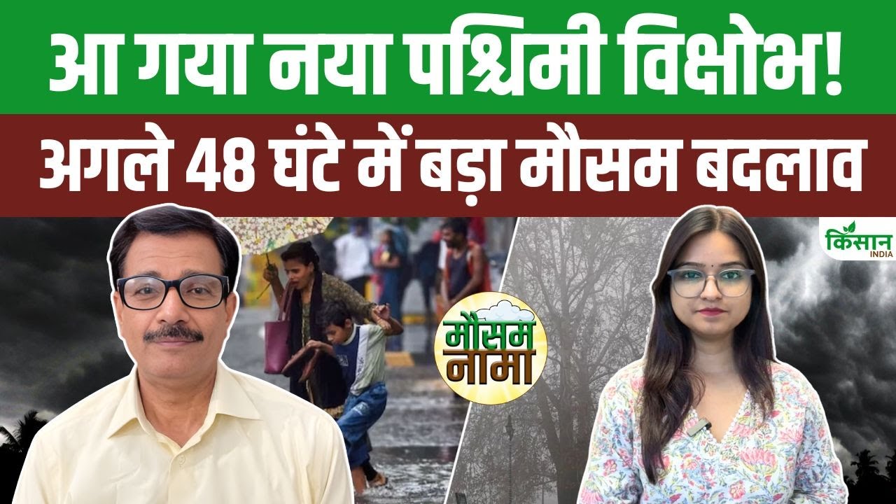 Delhi-NCR में बारिश की चेतावनी, पहाड़ों पर बर्फबारी का Alert