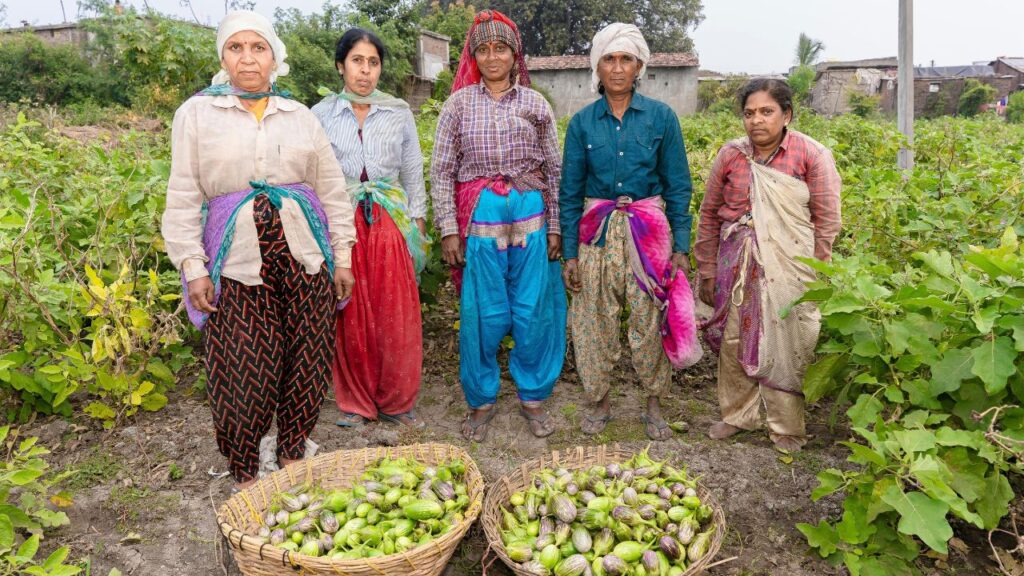 PMFBY (प्रधानमंत्री फसल बीमा योजना): यह बीमा योजना किसानों को प्राकृतिक आपदाओं, कीटों और बीमारियों से फसल नुकसान पर सुरक्षा देती है. 50 से अधिक फसलों को कवर किया गया है, जिससे करोड़ों किसानों को लाभ मिल रहा है. PMFBY (प्रधानमंत्री फसल बीमा योजना): यह बीमा योजना किसानों को प्राकृतिक आपदाओं, कीटों और बीमारियों से फसल नुकसान पर सुरक्षा देती है. 50 से अधिक फसलों को कवर किया गया है, जिससे करोड़ों किसानों को लाभ मिल रहा है.