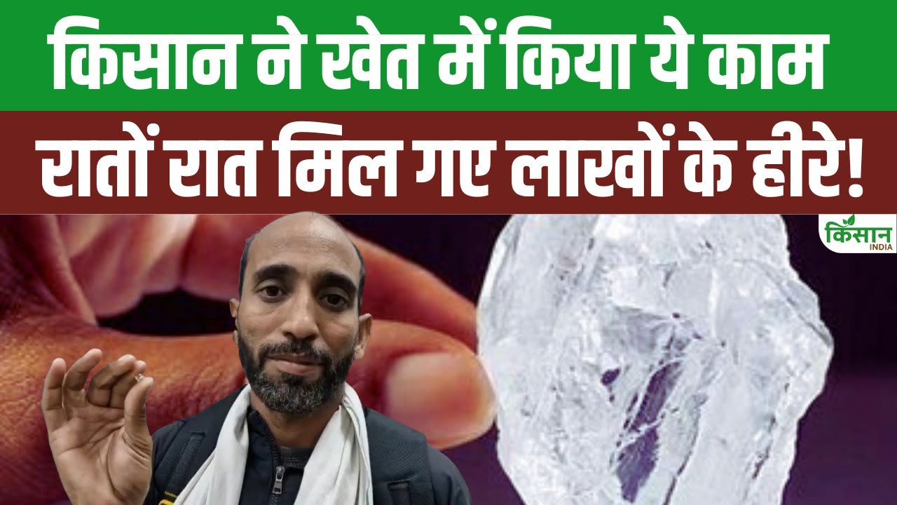 Panna से सामने आई चौंकाने वाली कहानी, रातों रात किसान बना लखपति,खेत से निकले लाखों की कीमत वाले हीरे