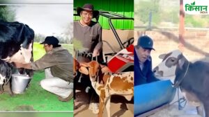 धर्मेंद्र को बहुत पंसद थे काली और लाल गाय के बछड़े, रोज सुबह खिलाते थे ये वाला चारा धर्मेंद्र को बहुत पंसद थे काली और लाल गाय के बछड़े, रोज सुबह खिलाते थे ये वाला चारा