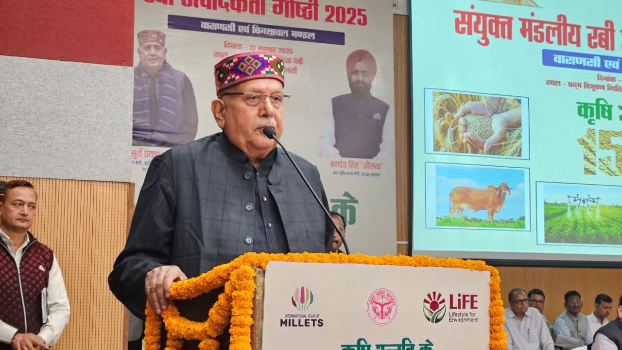 सरसों का दोगुना उत्पादन, कृषि मंत्री बोले- अच्छी पैदावार के लिए 25 नवंबर तक गेहूं बुवाई पूरी कर लें