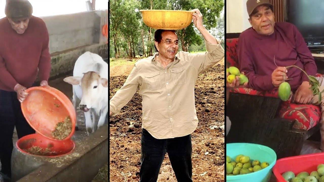 अलविदा ही-मैन: फिल्मों से किसानों तक, हर दिल में अपनी जगह बना गए धर्मेंद्र