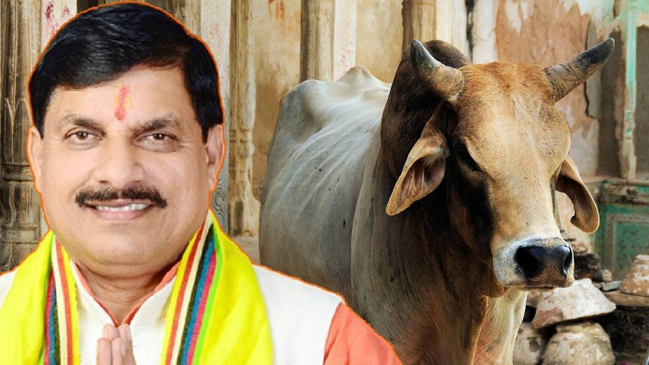 मुख्यमंत्री मोहन यादव का ऐलान: हर गांव तक पहुंचेगी बेहतर पशु चिकित्सा सुविधा, जल्द होंगी 700 नई नियुक्तियां