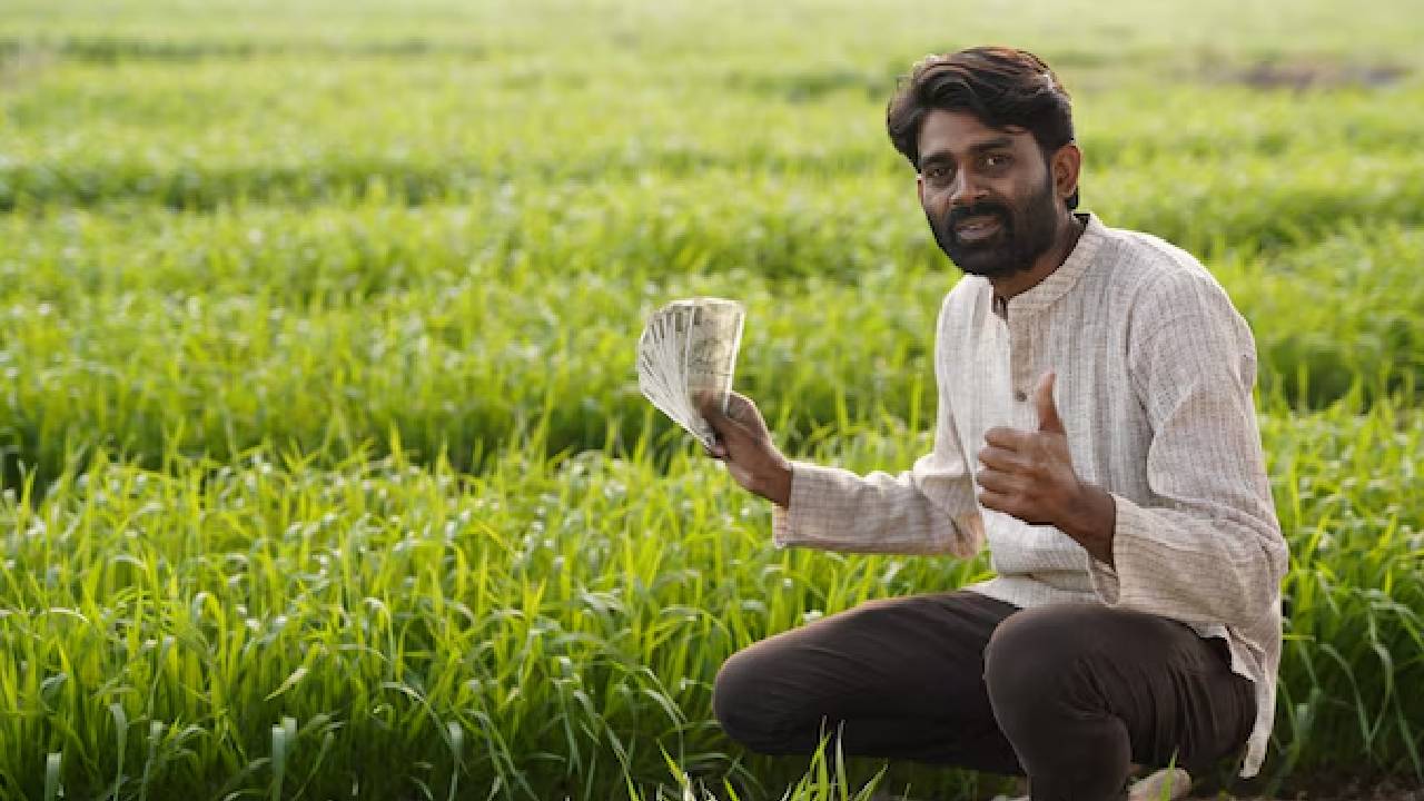 गांव में पैसे कमाने के आसान और पक्के तरीके, सालभर होगी-लाखों करोड़ों की कमाई