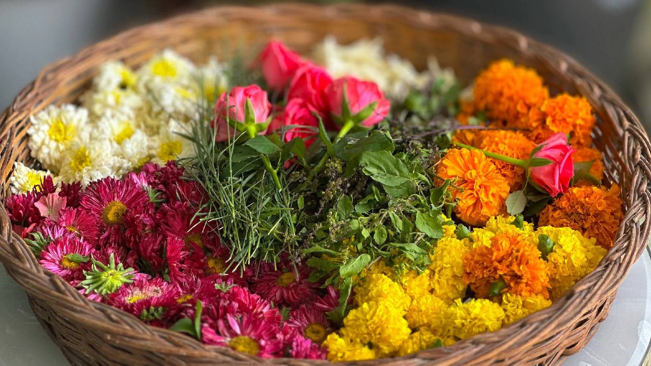 बिना खर्च के तैयार होगी बेहतरीन खाद, बस मुरझाए फूलों का करें इस्तेमाल