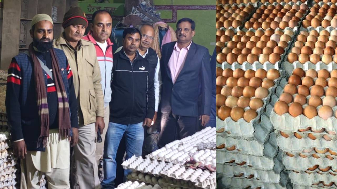 सावधान! देसी अंडों के नाम पर चल रहा था बड़ा खेल! एक लाख नकली अंडे बरामद, फैक्ट्री सील