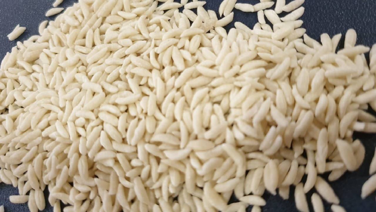 कृषि निर्यात में छत्तीसगढ़ की ऐतिहासिक सफलता, कोस्टा रिका को भेजी गई 12 मीट्रिक टन चावल की खेप