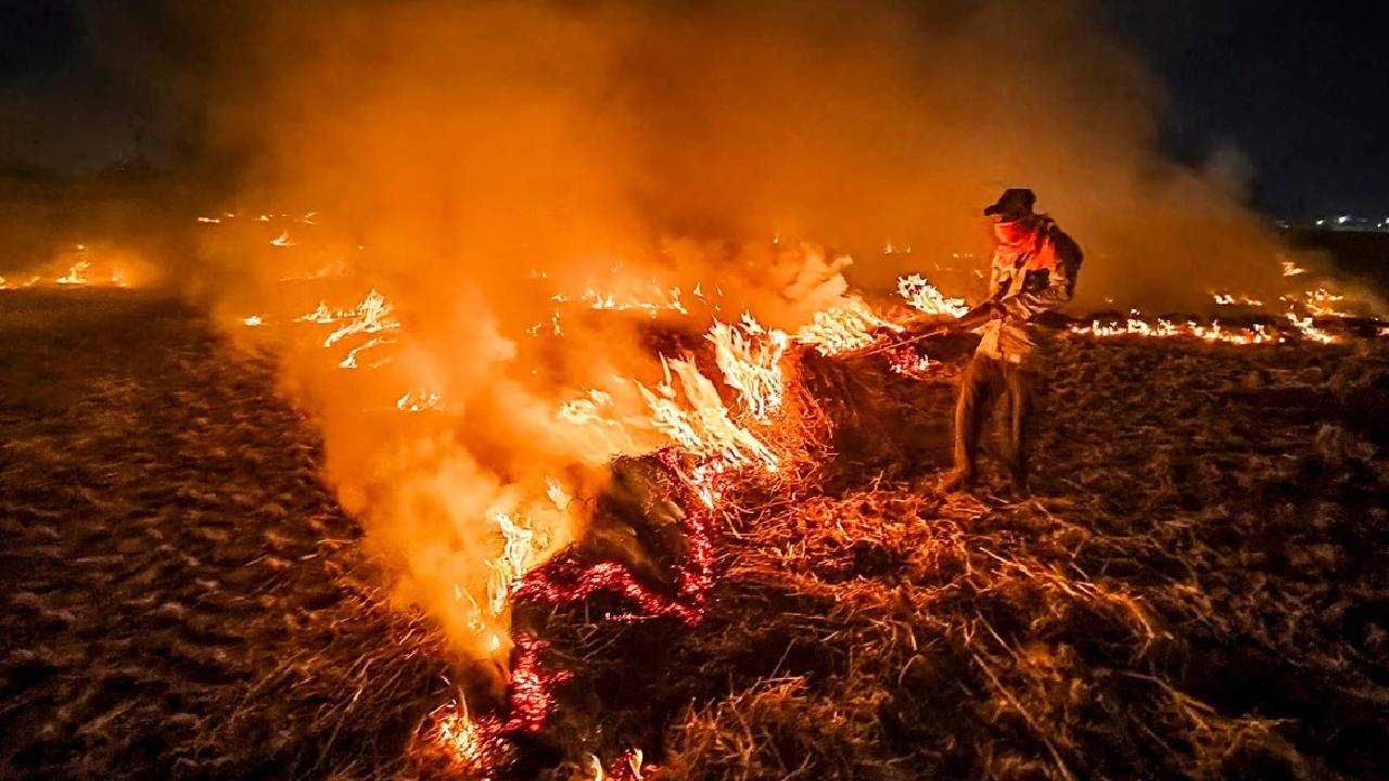 हरियाणा में पराली जलाने के मामलों में बड़ा विस्फोट, एक साल में 92 फीसदी बढ़ीं खेतों में आग की घटनाएं
