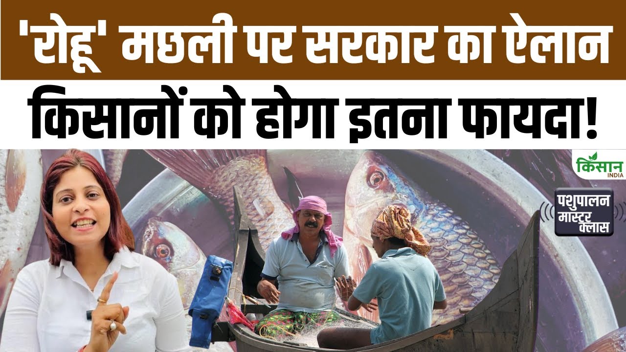 भगवंत मान सरकार का बड़ा फैसला, रोहू मछली बनी पंजाब की स्टेट फिश, किसानों को मिली 30 करोड़ सब्सिडी