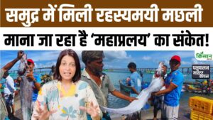 प्रलय की मछली दिखी तट पर, 2011 में दिखने के बाद जापान को झेलनी पड़ी थी भयानक सुनामी तबाही