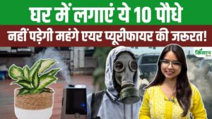 महंगे एयर प्यूरीफायर फेल, ये 10 इंडोर प्लांट घर की दूषित हवा को प्राकृतिक तरीके से करेंगे शुद्ध महंगे एयर प्यूरीफायर फेल, ये 10 इंडोर प्लांट घर की दूषित हवा को प्राकृतिक तरीके से करेंगे शुद्ध