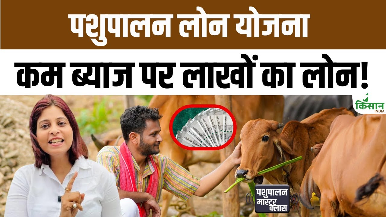 2025 में किसानों को खुशखबरी, गाय-भैंस खरीद पर आसान लोन के साथ 35% सब्सिडी का लाभ शुरू