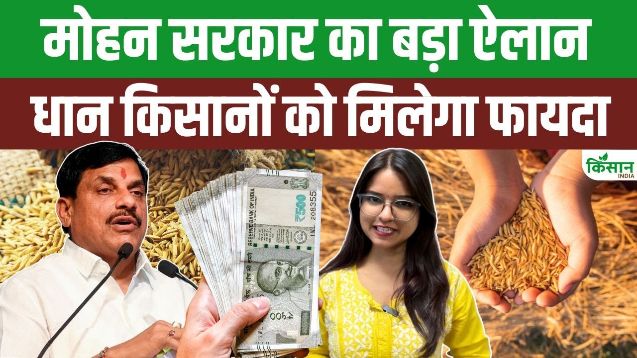सीएम मोहन यादव का बड़ा ऐलान, धान किसानों को मिलेगी सीधी राहत राशि से बड़ी मदद