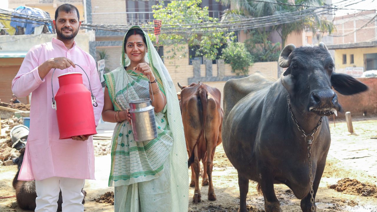 महिला पशुपालकों की कमाई बढ़ाने के लिए डेयरी विभाग लाएगा नई स्कीम, मिल्क प्रोड्यूसर सोसाइटी बनेंगी