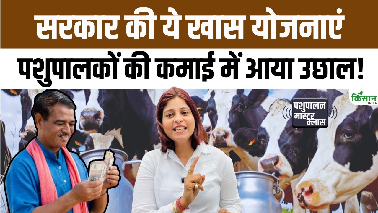 सरकारी योजनाओं से डेयरी किसानों की आय में बढ़ोतरी, दूध उत्पादन में दर्ज हुआ बड़ा और सकारात्मक सुधार