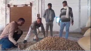 मंडी में बढ़कर भाव मिलने से मूंगफली किसानों में उत्साह, 38 खरीद केंद्र पर ट्रॉलियां भरकर पहुंचे अन्नदाता मंडी में बढ़कर भाव मिलने से मूंगफली किसानों में उत्साह, 38 खरीद केंद्र पर ट्रॉलियां भरकर पहुंचे अन्नदाता