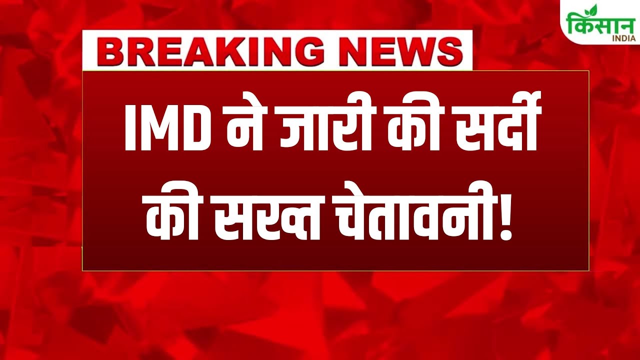साल के आखिरी दिनों में शीतलहर का असर तेज, दिल्ली यूपी बिहार में ठंड का अलर्ट बढ़ा हुआ रहेगा
